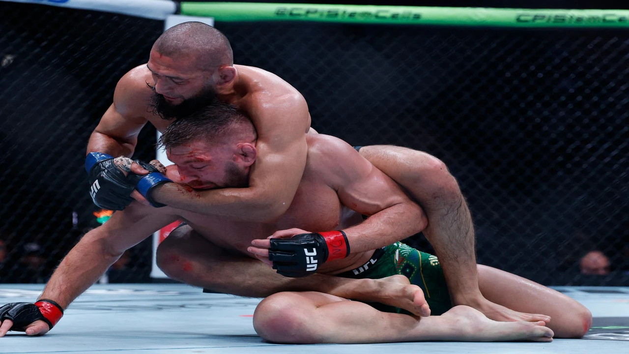 اعتراف دو بليسيس.. مدرب شيماييف يكشف كواليس خطة استعادة حزام البطولة الأغلى